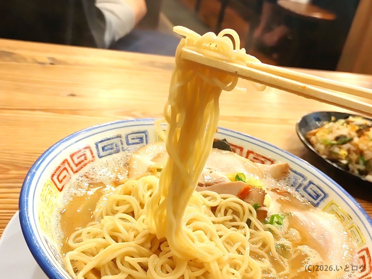 久留米とんこつラーメン松山分校の麺。とんこつスープを持ち上げる細麺が特徴の久留米ラーメン