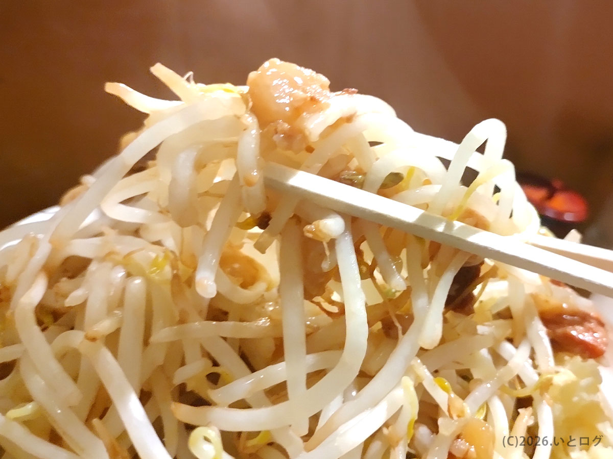 夢を語れ松山のラーメンに盛られたもやしとアブラ。松山市のがっつり系ラーメン