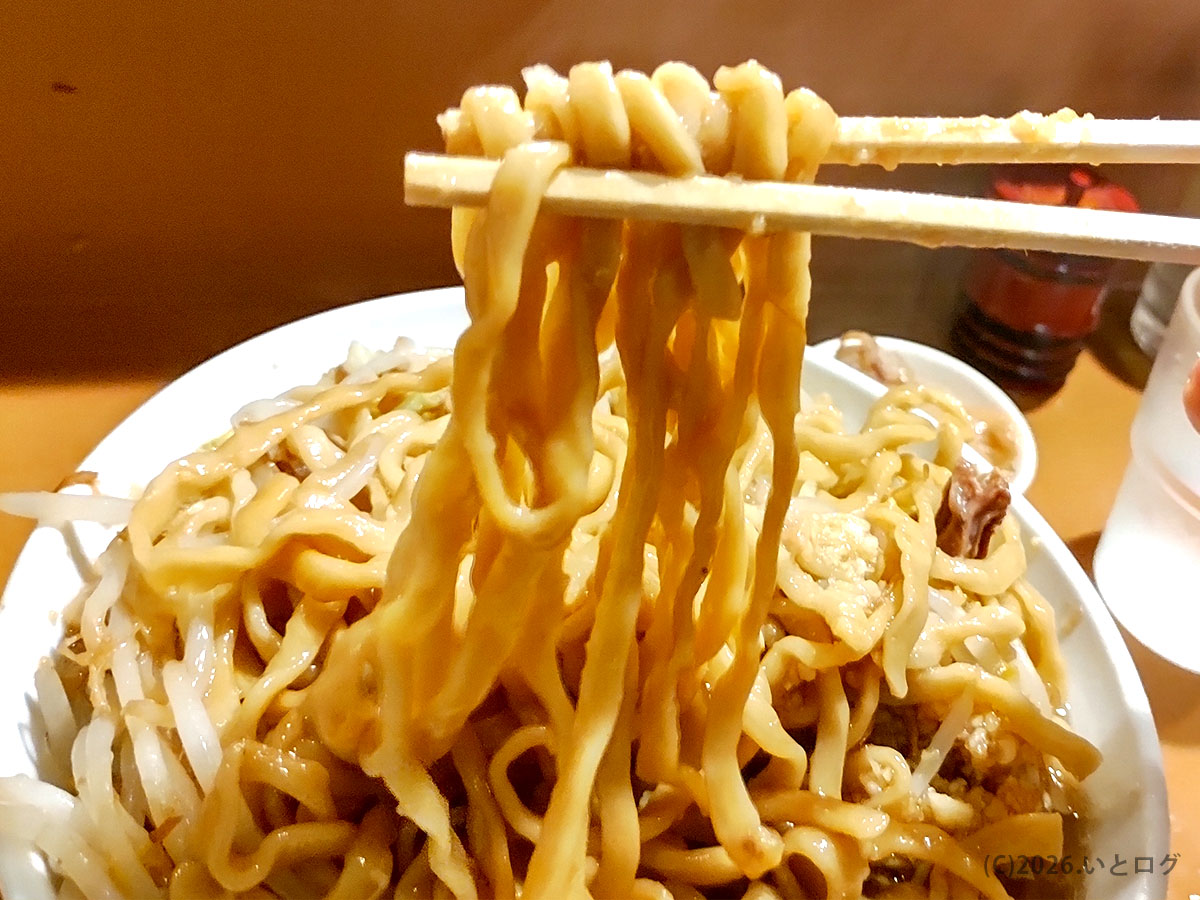 夢を語れ松山の太麺を箸で持ち上げた様子。松山の二郎系ラーメンらしい迫力