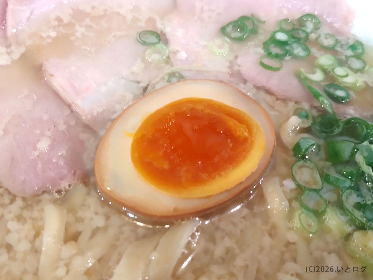 讃岐ラーメン浜堂 新居浜のラーメンにのる味玉とチャーシュー。あっさりとした香川系ラーメンの一杯