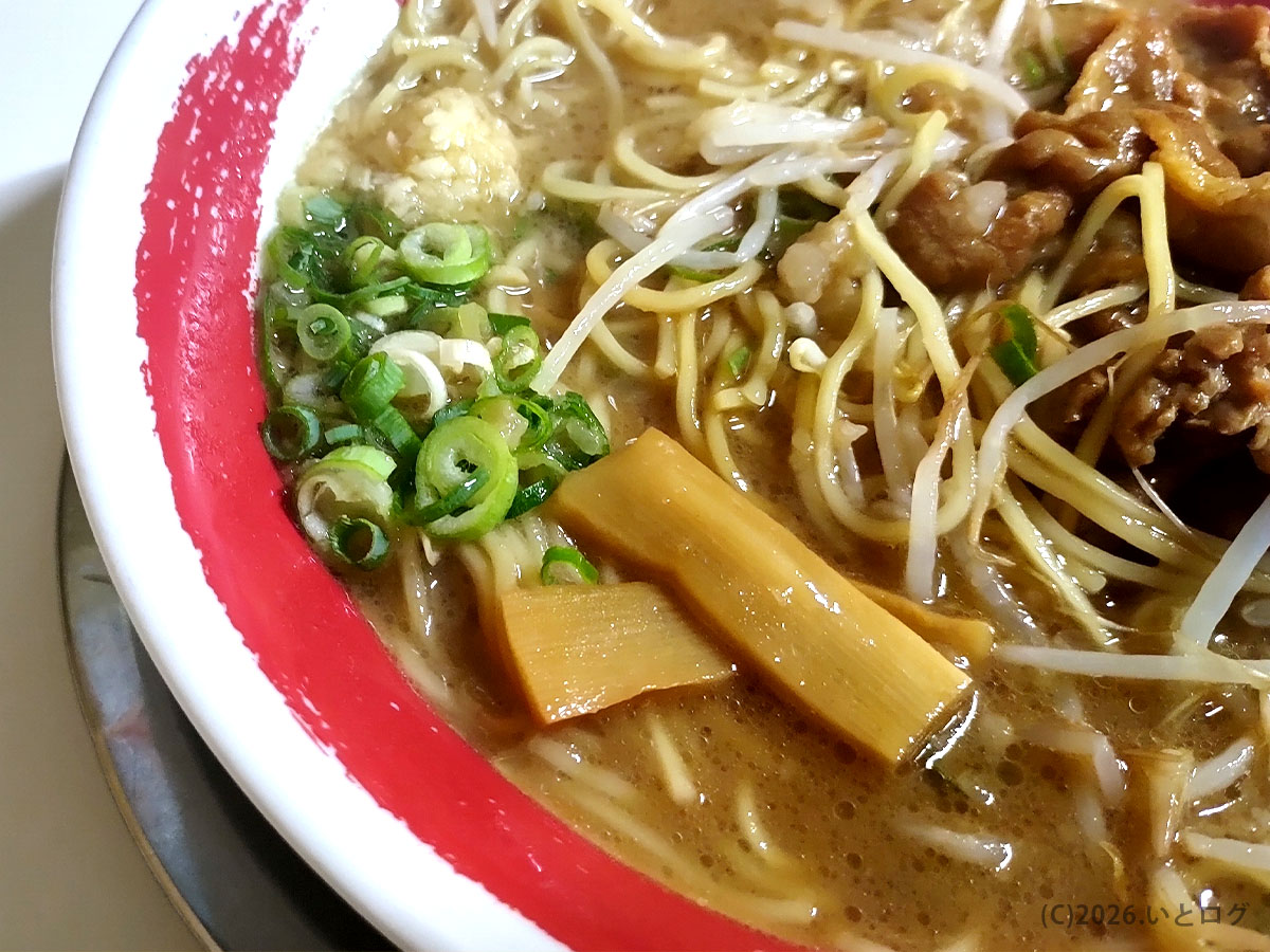 徳島ラーメン東大のトッピング。もやしとネギ、メンマがのった定番スタイル
