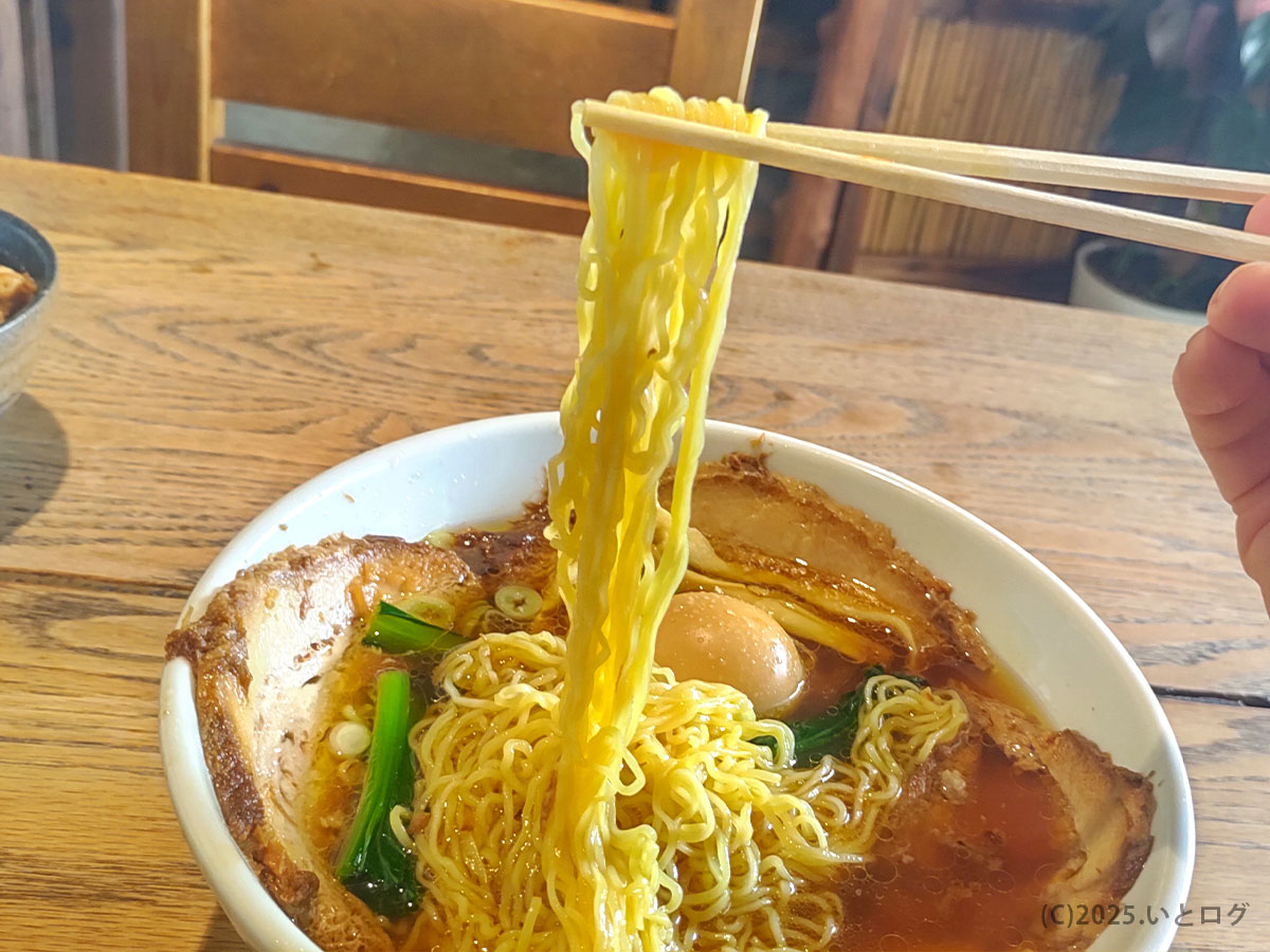麺処 麗山のラーメン。富士吉田市で味わえる、醤油スープに絡む細縮れ麺をリフトした瞬間。山梨ラーメン好きにおすすめ。