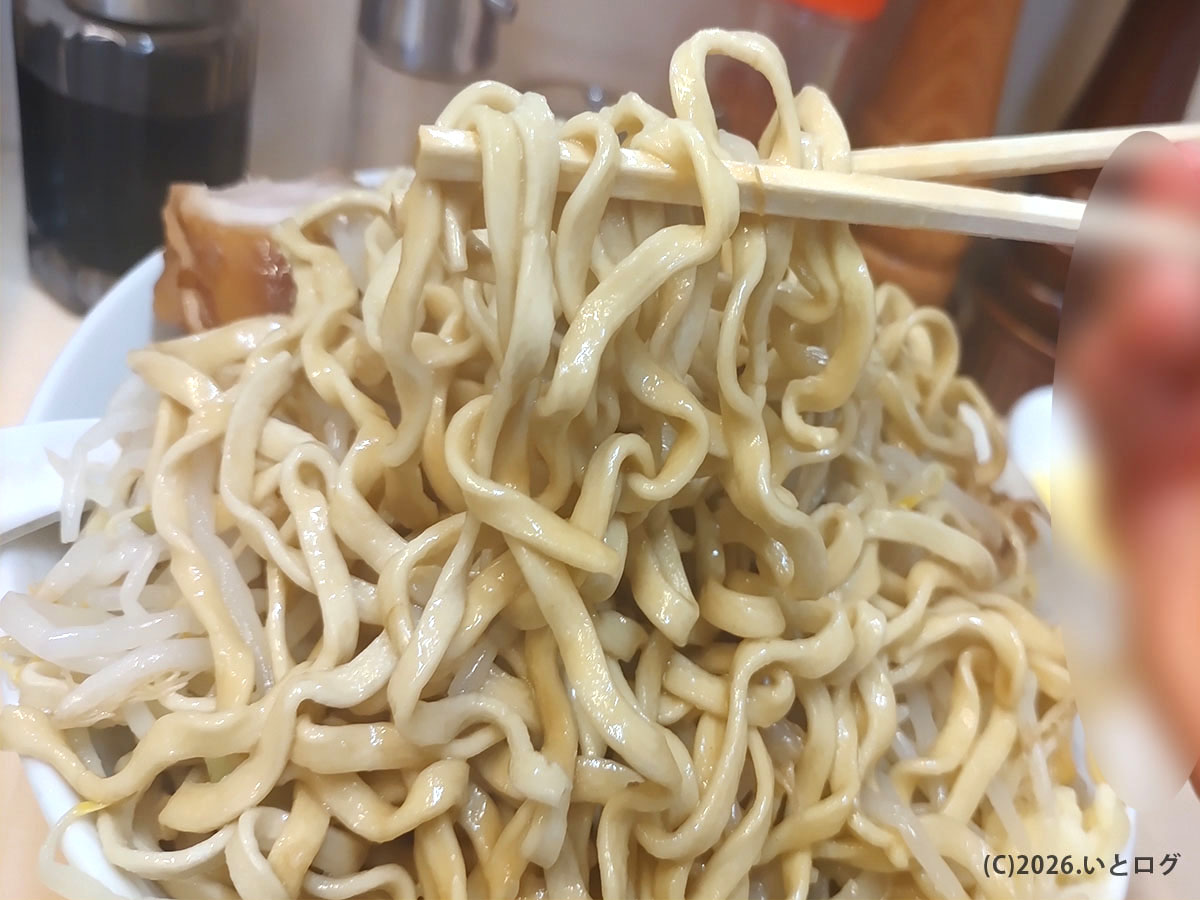 自家製ラーメン大者の極太麺リフト。麺量が多い群馬二郎系ラーメン