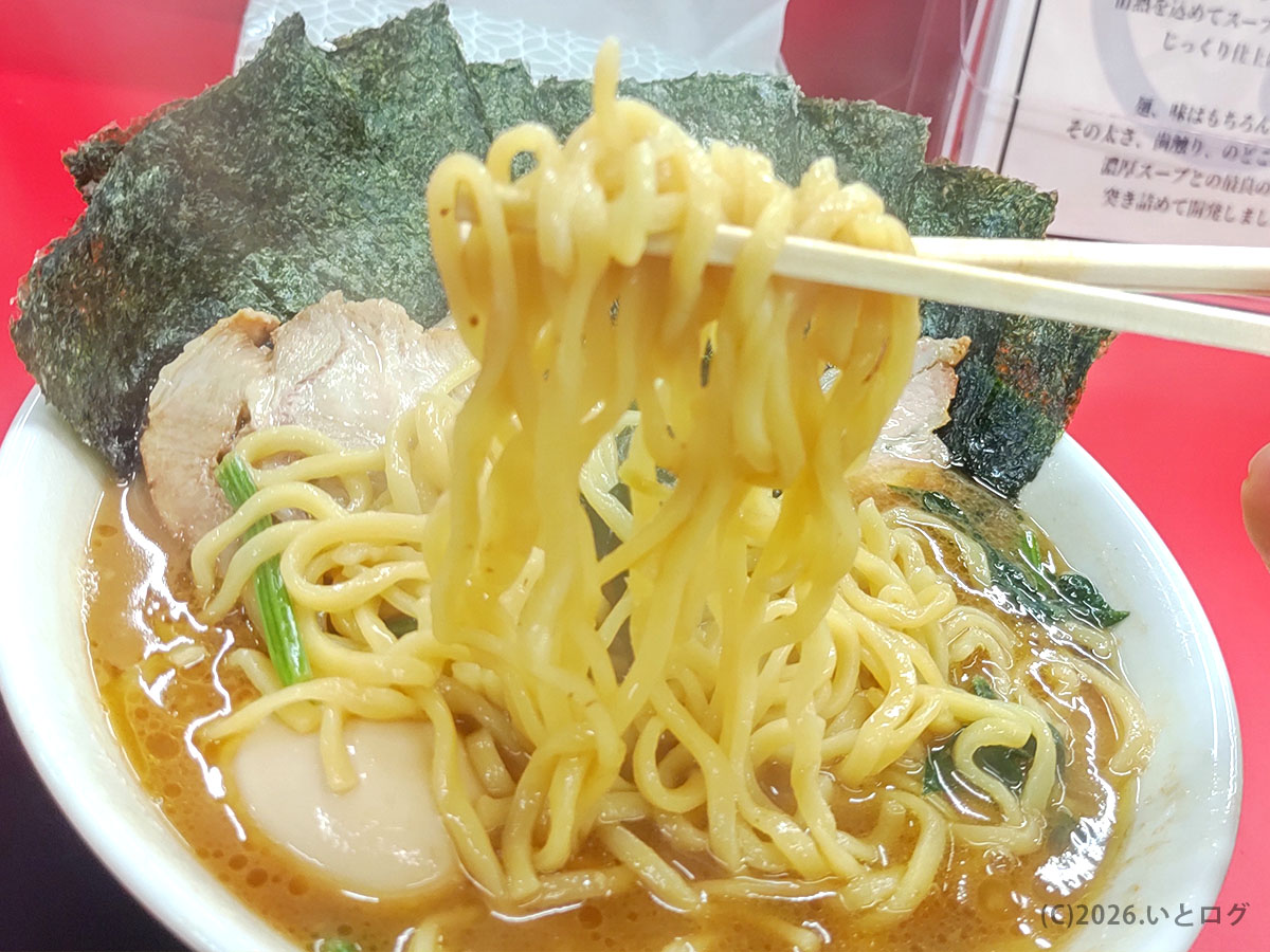 との丸家 伊勢崎店の中太麺。伊勢崎 家系 おすすめ店の弾力ある麺