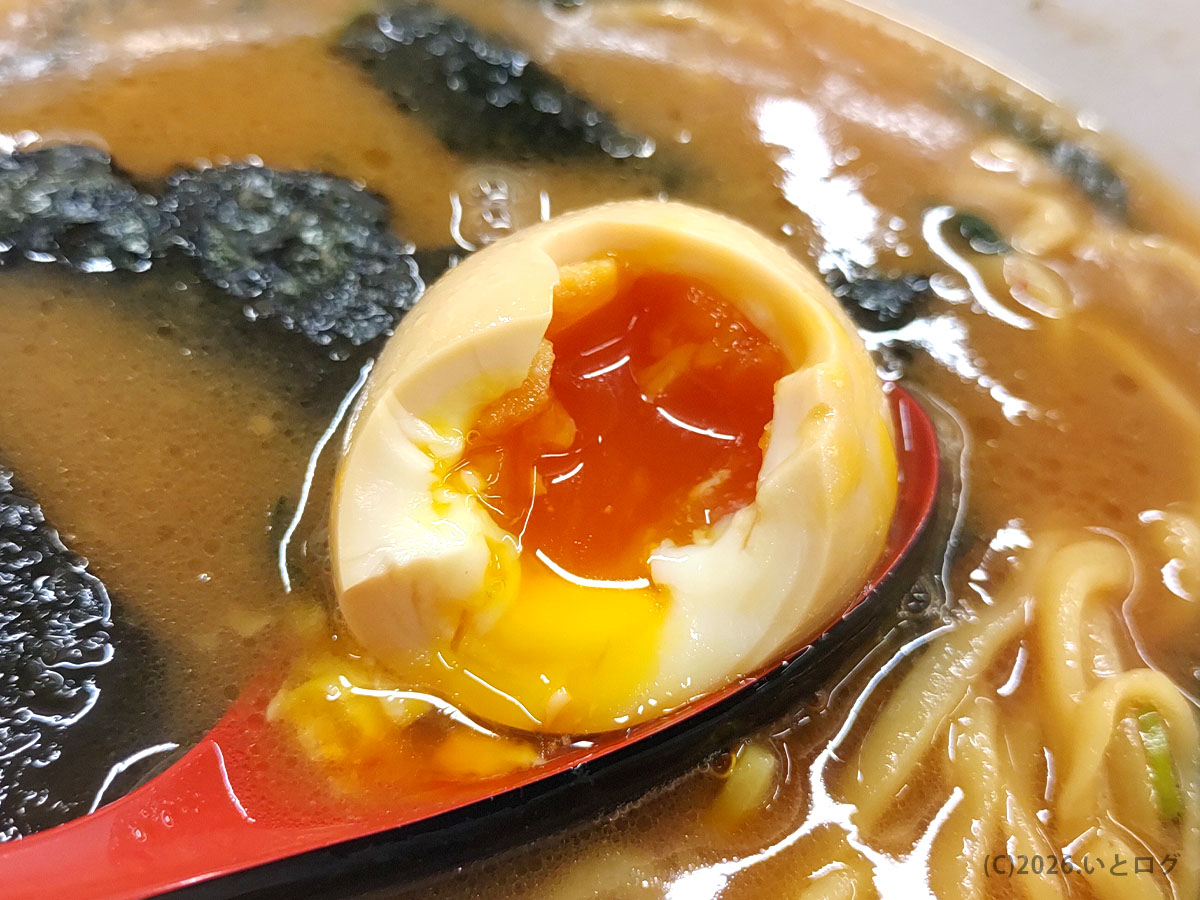との丸家 伊勢崎店の半熟味玉。王道家系ラーメンの濃厚スープと相性抜群