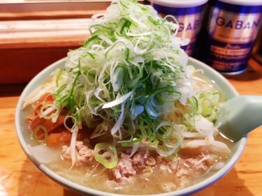 【喜来登】藤井フミヤなど芸能人も多数訪れる札幌味噌ラーメン。ネギが嫌いな人は来ちゃダメ！