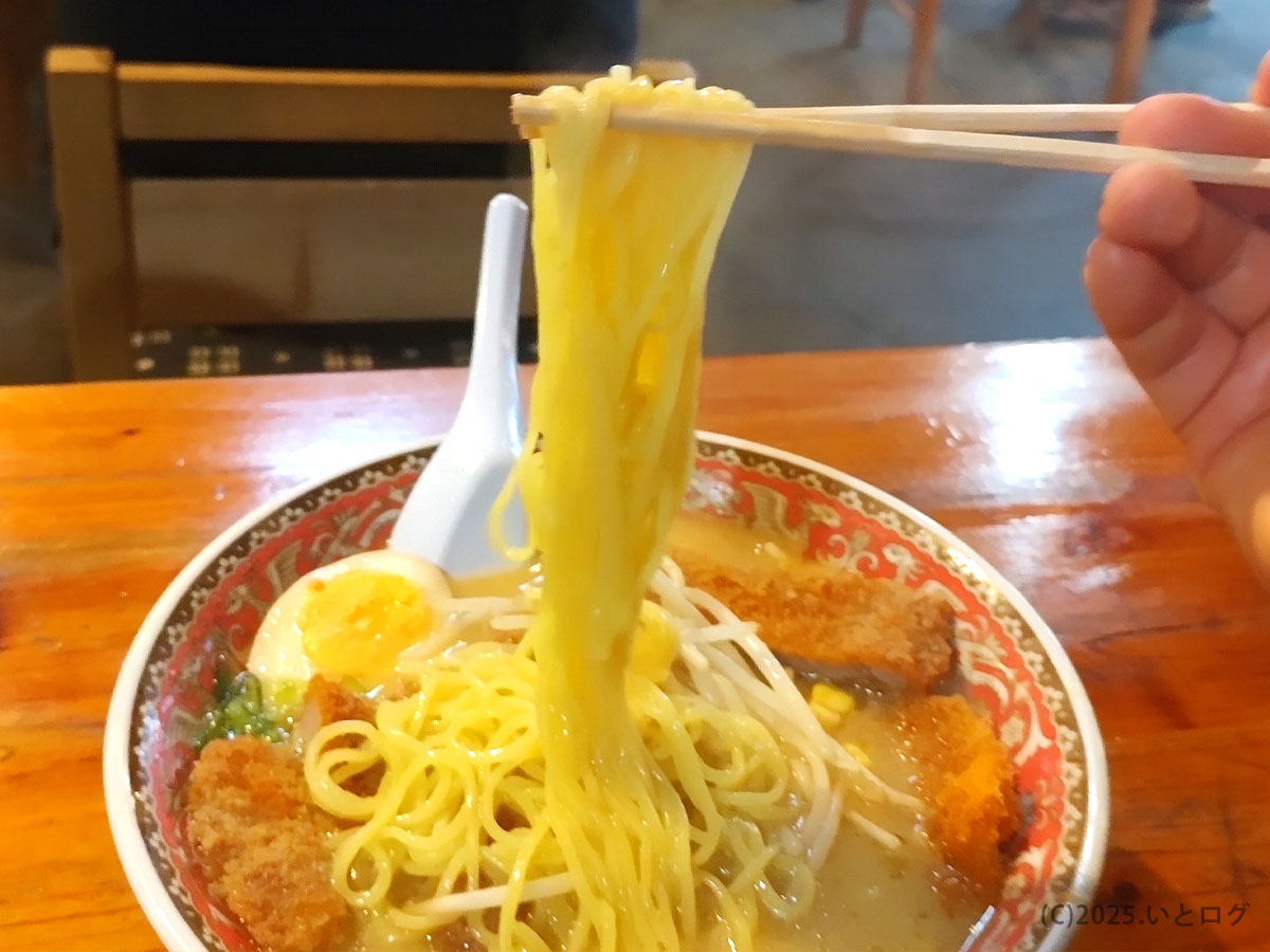 箸で湯気立つ麺を持ち上げた瞬間。とろみある味噌スープが絡む、自由軒 高知 おすすめ「味噌カツラーメン」の臨場感。