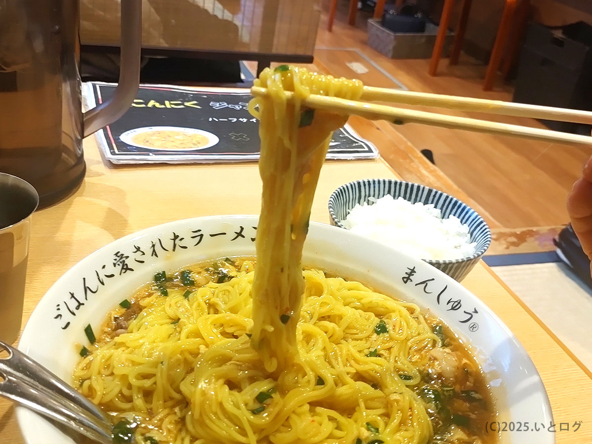 麺リフトショット。細麺に餡が絡むジャン麺と、セットの白ごはん——高知県のローカルスタイル