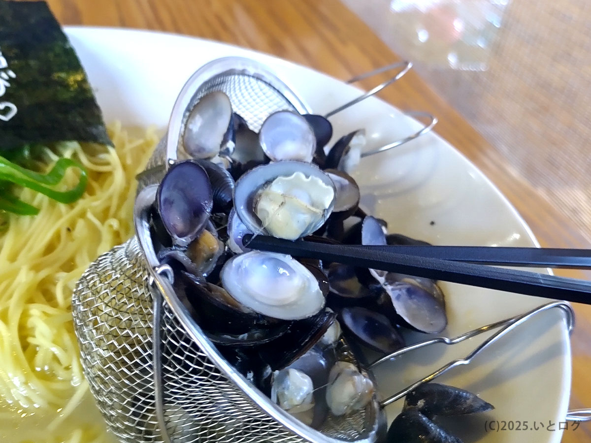 かみあり製麺 出雲のしじみ塩ラーメン。たっぷりの宍道湖産しじみを箸で掴んだところ。旨みと栄養がぎゅっと詰まっている。