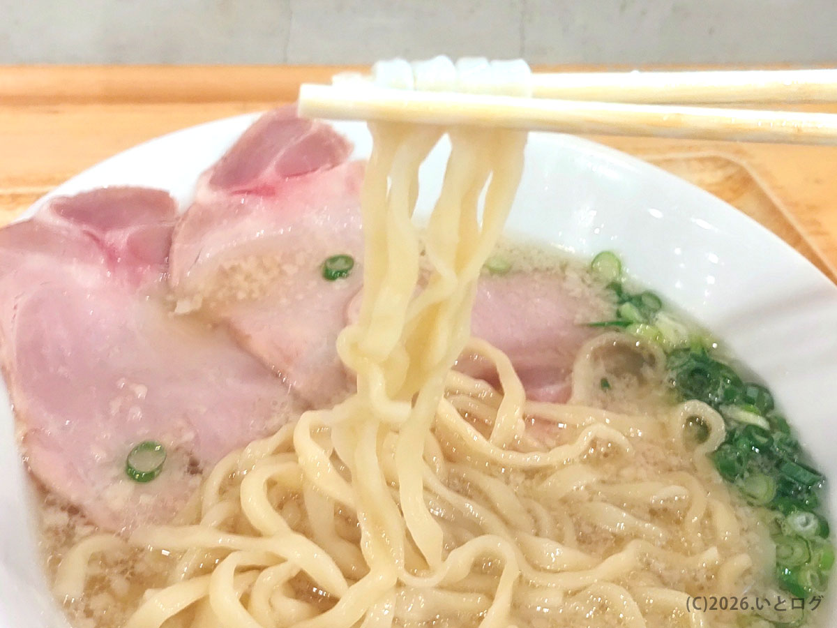 讃岐ラーメン浜堂 新居浜のラーメンの麺を箸で持ち上げた瞬間。あっさりスープに馴染む香川系ラーメンの麺