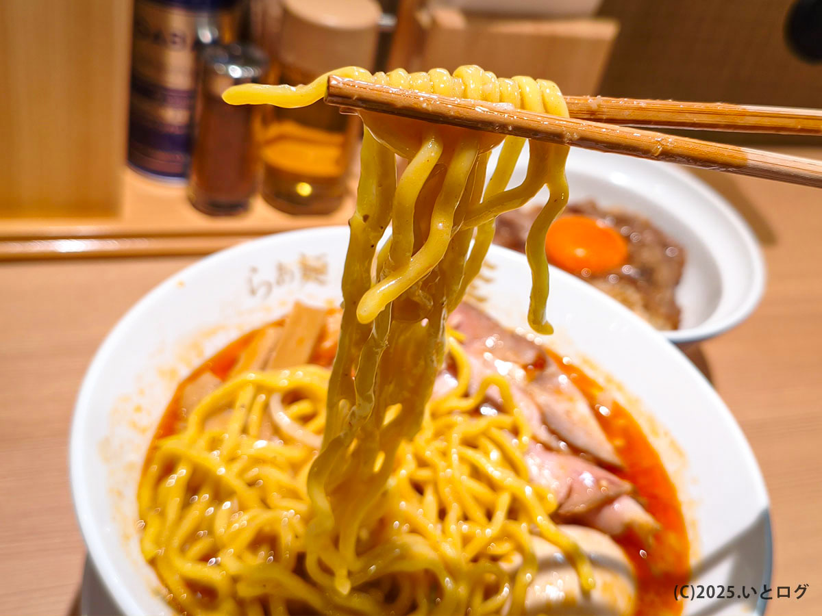 中太ちぢれ麺を持ち上げた瞬間。濃厚なスープがよく絡み、見た目から食欲をそそる。山梨・河口湖エリア注目のラーメン新店舗。