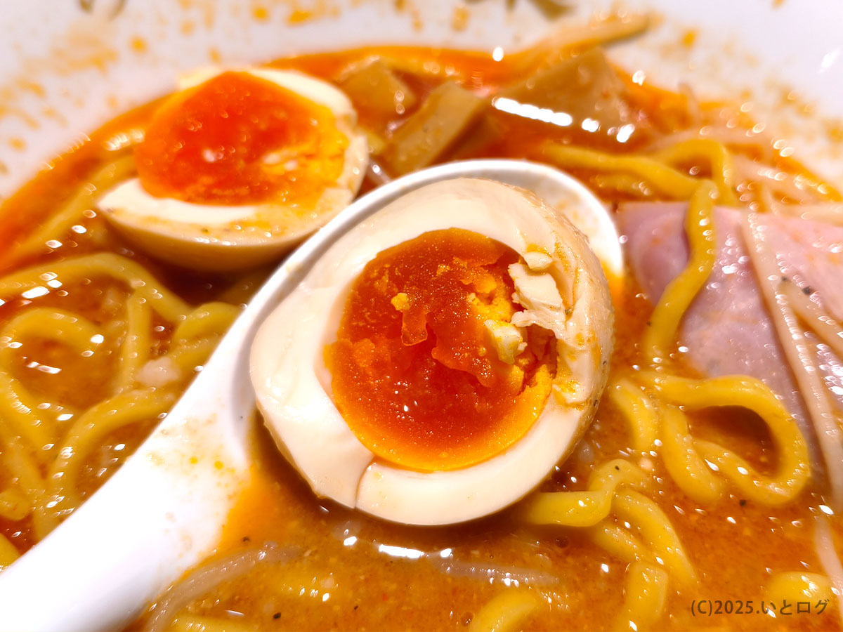 半熟の味玉を割った瞬間。とろりとした黄身がスープに溶け出す。富士山観光の昼食にもおすすめな富士河口湖町のラーメン新店。