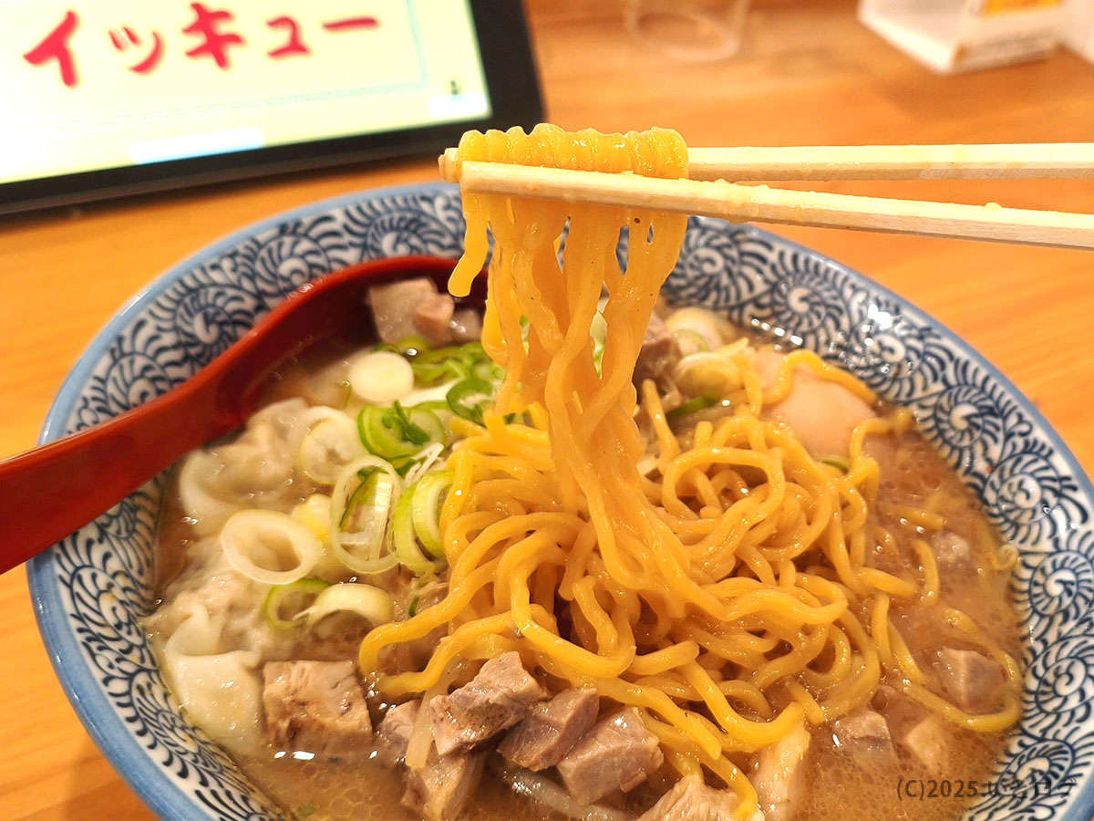 中華そばイッキューの背脂中華そばを麺リフトした様子。コシのある中太麺にスープがよく絡んでおり、山梨市の新店らしい力強い一杯。
