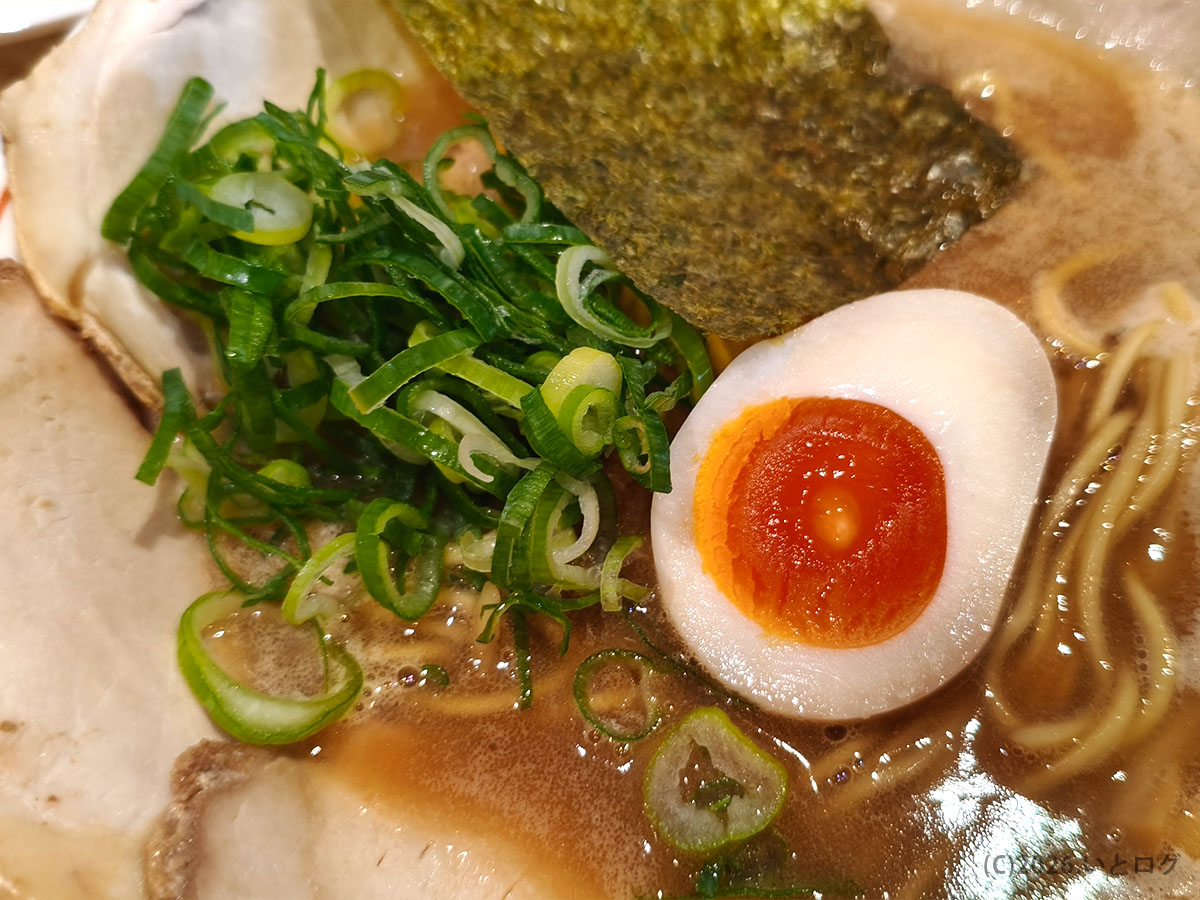 麺dining 月乃家ラーメンの具材アップ｜有田川町ラーメン店の味玉とネギ