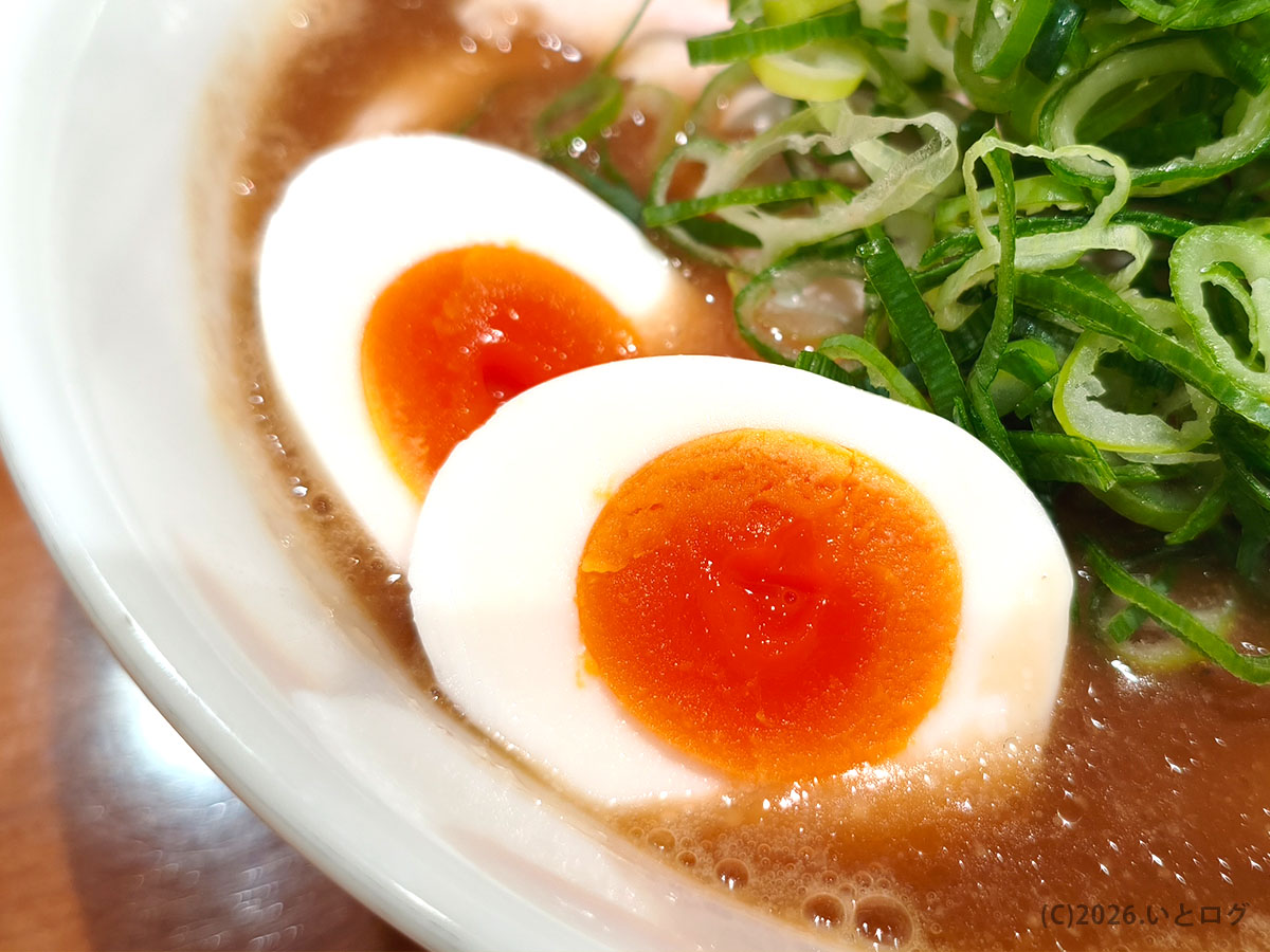 清乃 ラーメンの半熟味玉と濃厚スープ 和歌山の人気ラーメン店の一杯