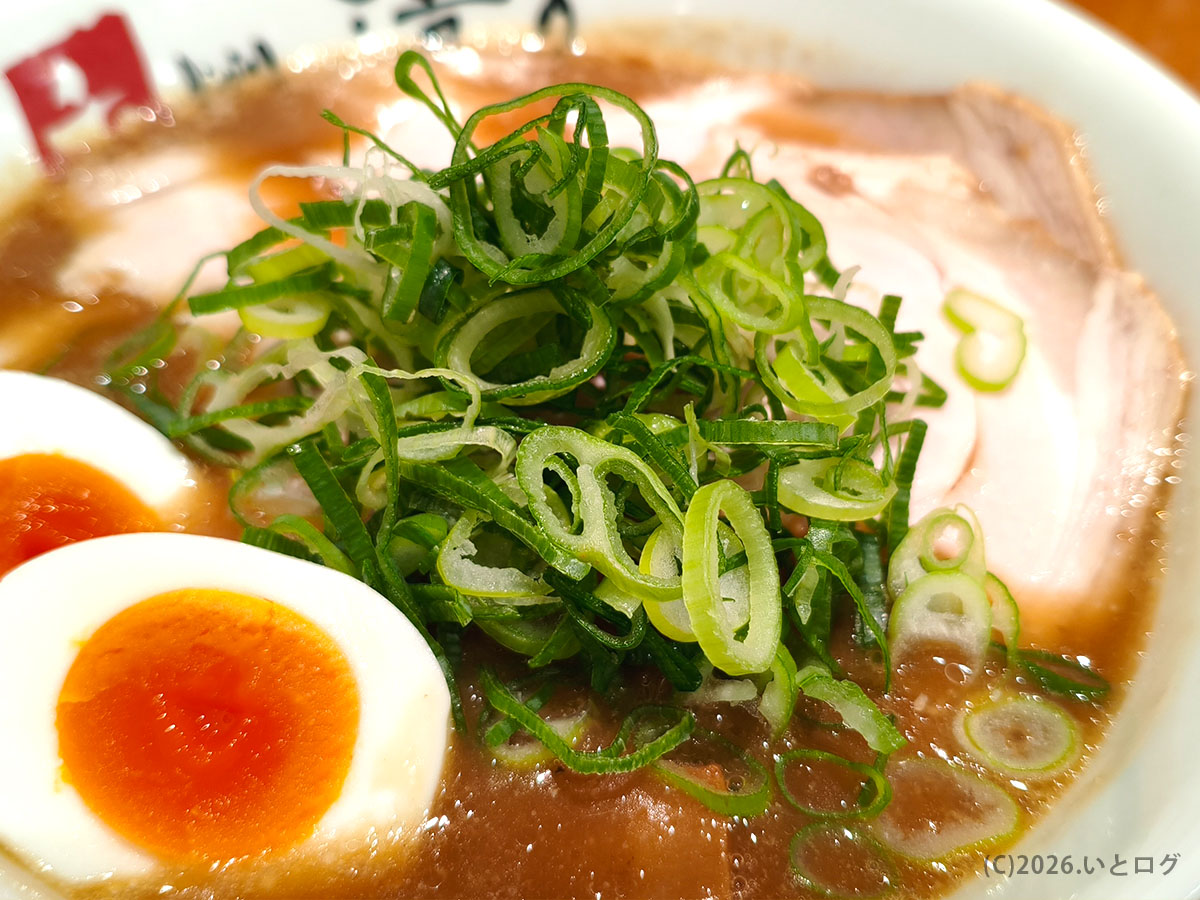 清乃 ラーメン 和歌山のネギたっぷりトッピング 醤油ベースの濃厚スープが特徴