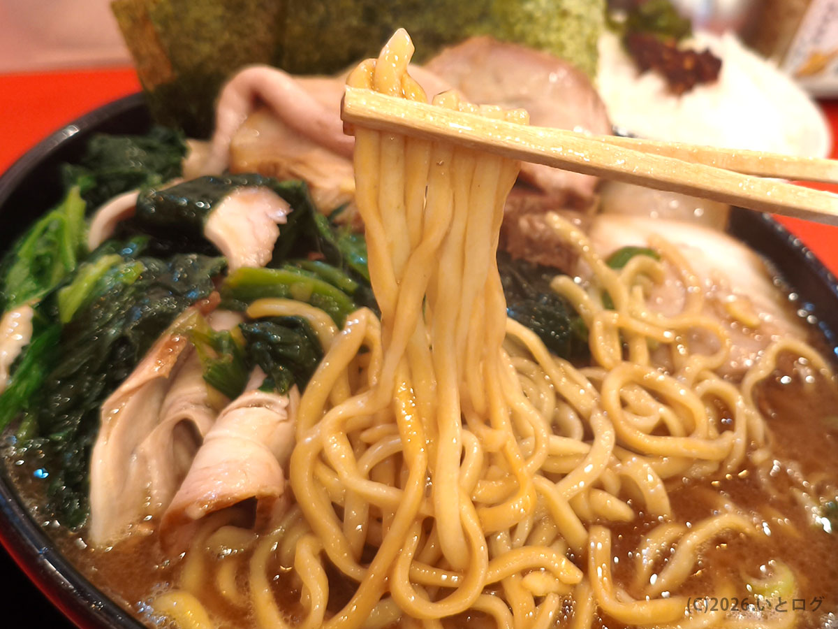 大輝家の中太麺 スープをしっかり持ち上げる家系ラーメンの王道スタイル