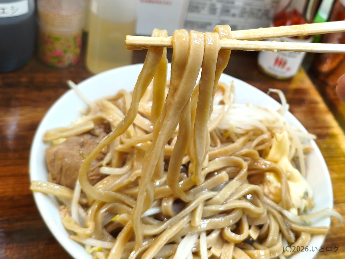 極太麺を持ち上げた一枚（那覇 二郎系ラーメンの食べ応え）