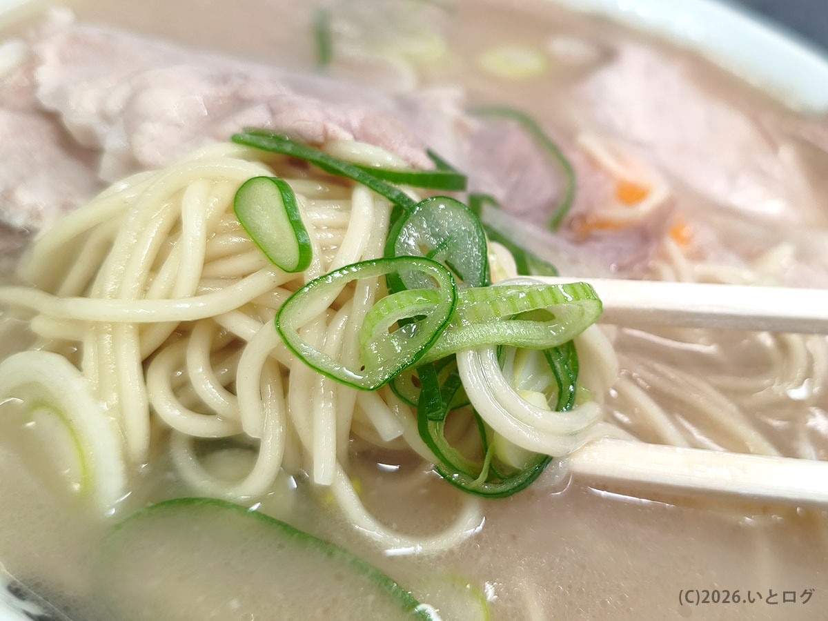 佐賀ラーメン いちげん ラーメンの特徴｜ネギと麺に絡むまろやかなスープ