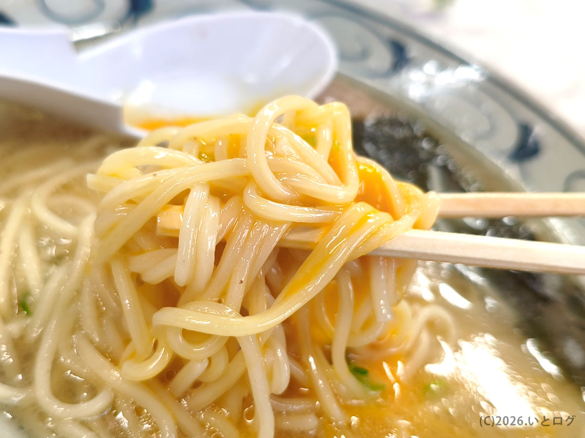 もとむら ラーメン 味 スープと絡む細麺の一体感が魅力