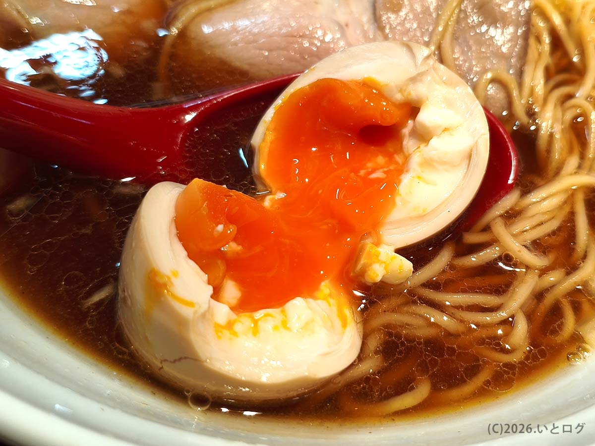 とろり半熟味玉が入った中華そば 佐々木麺之介の一杯｜長崎あっさりラーメン系の美しい盛り付け