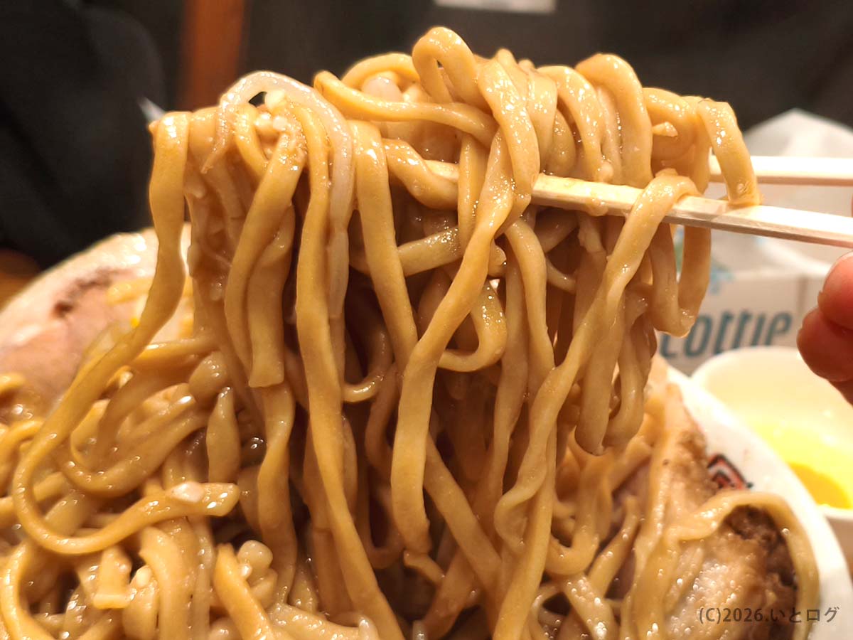 夢を語れ長崎の極太麺を持ち上げた様子。ワシワシ食感が強烈な長崎の二郎系ラーメン