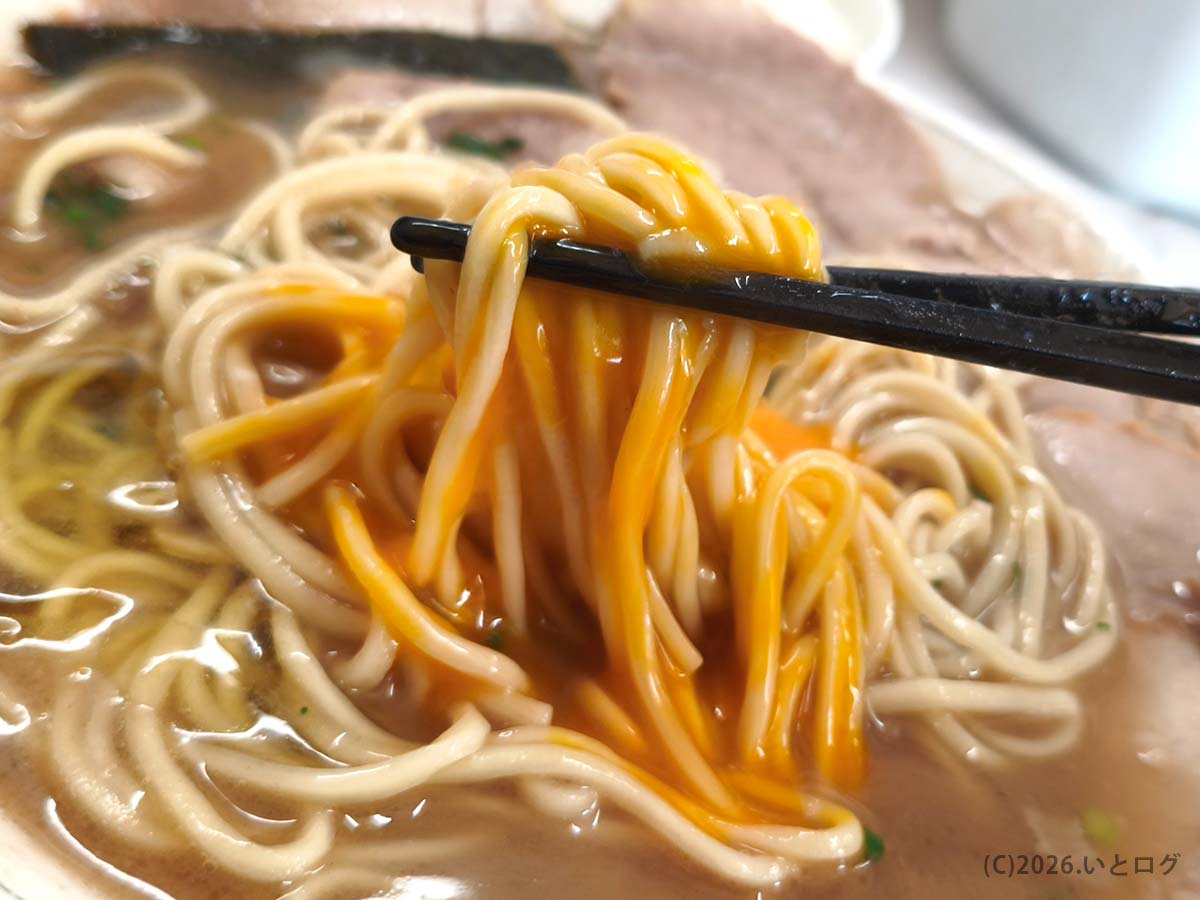 生卵を絡めた麺が映える一光軒の濃厚豚骨ラーメン