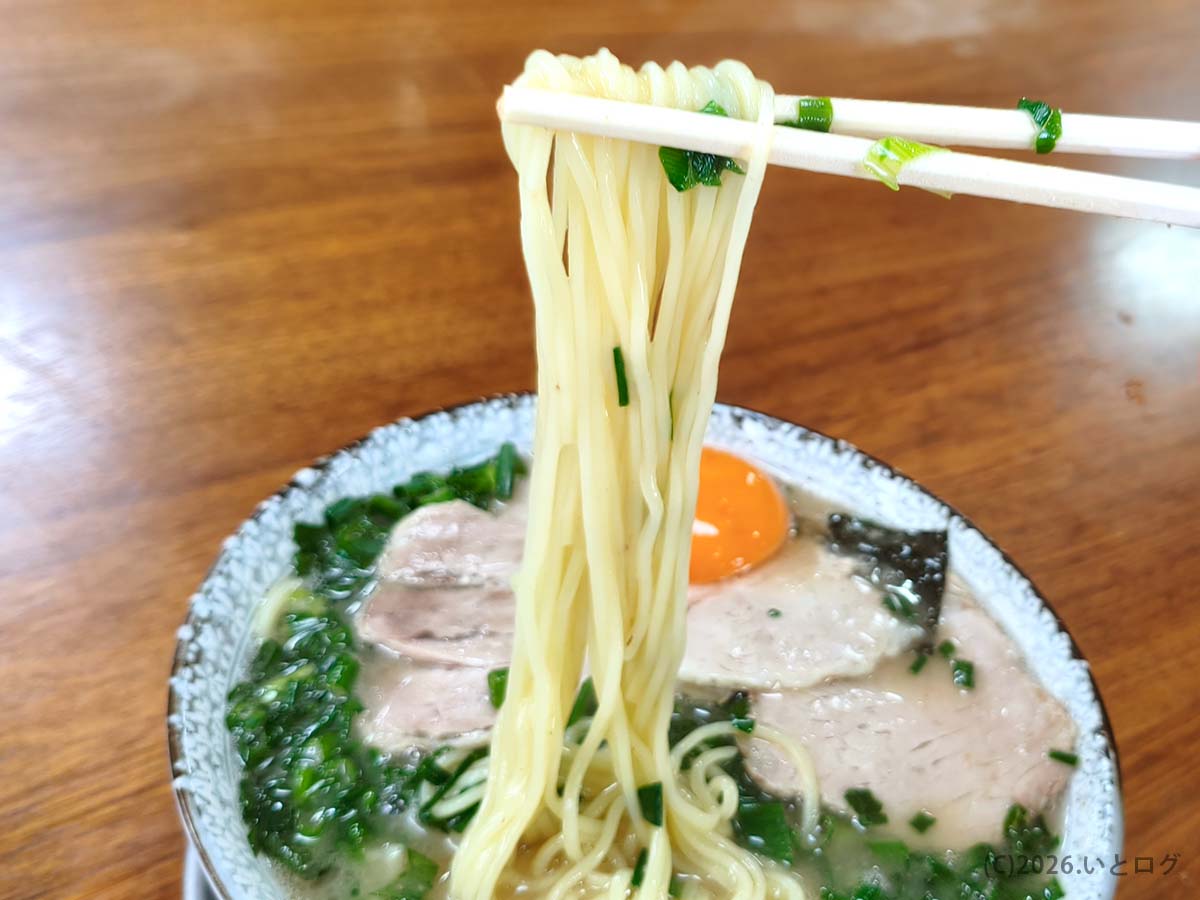 幸陽閣 ラーメンのストレート細麺を持ち上げた様子 佐賀ラーメンらしい濃厚豚骨スープと相性抜群