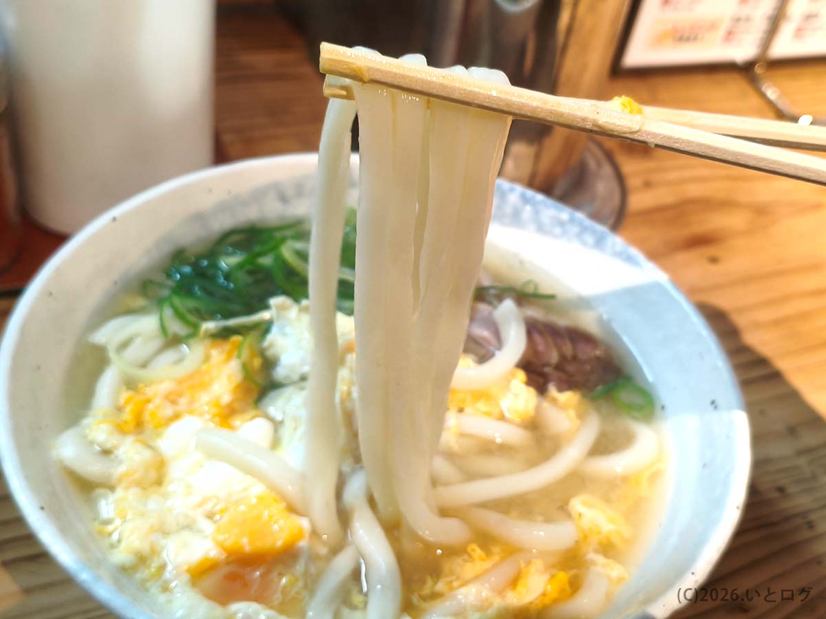 弥太郎うどんの卵とじうどんを麺リフト。福岡・天神で締めうどんにも合う、やわらかな麺が特徴