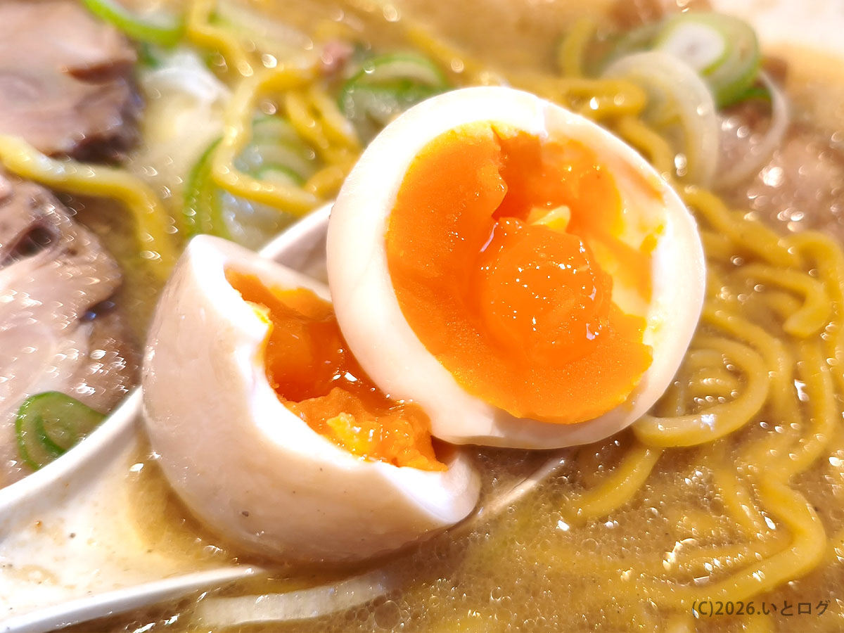 大島ラーメンの味玉トッピング。半熟の黄身が特徴的な一杯
