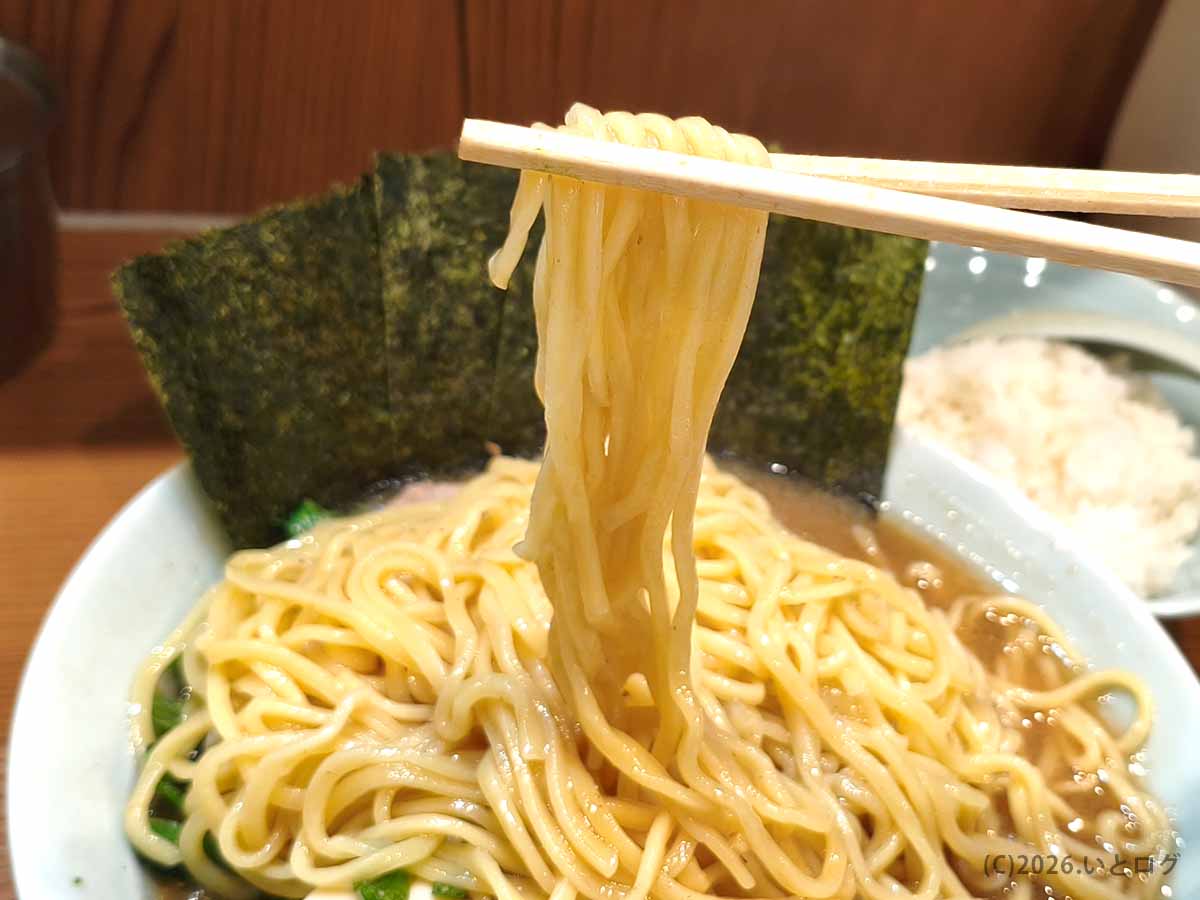 秋津 家系ラーメン 武蔵家の中太麺。濃厚スープと絡むもちっとした食感が魅力