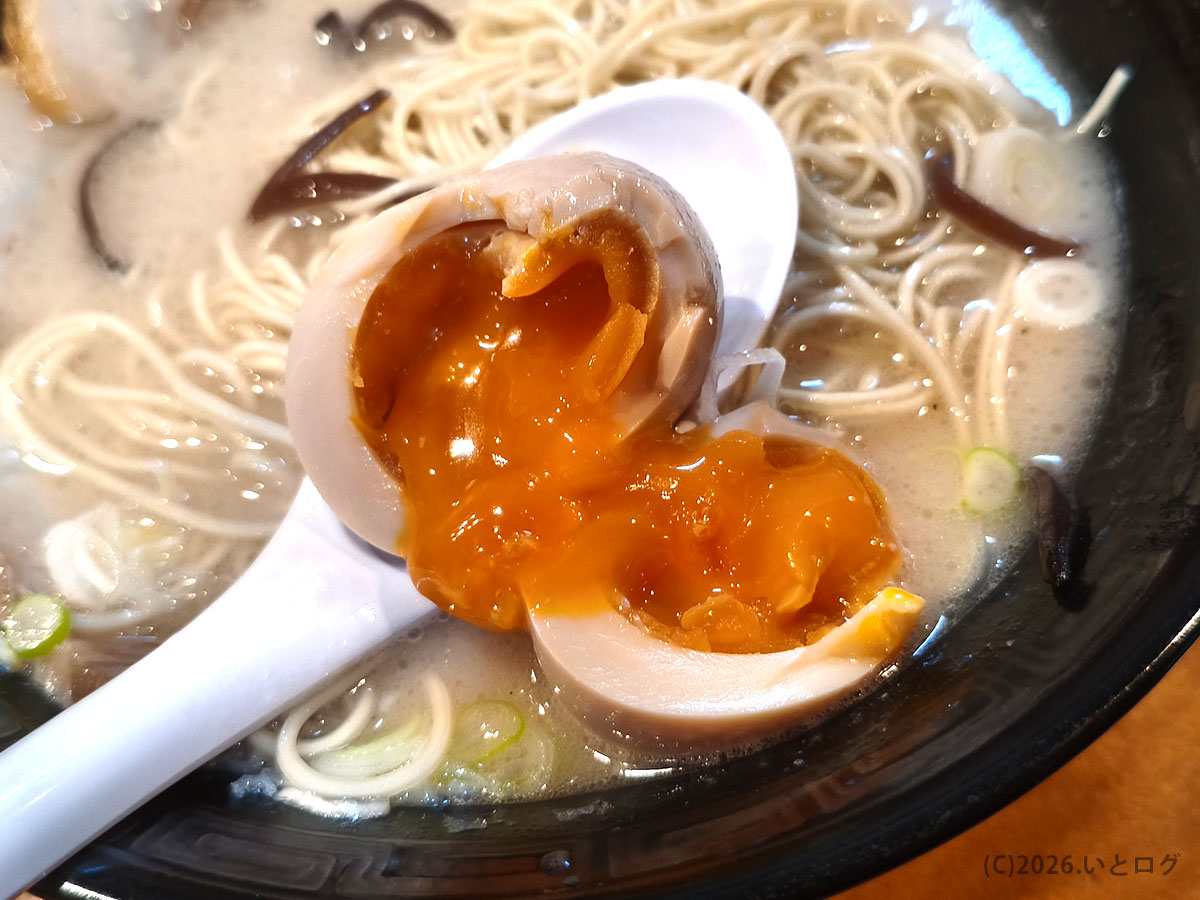 万力屋 山梨の味玉を割った瞬間。とろりとした黄身が広がる万力屋ラーメン