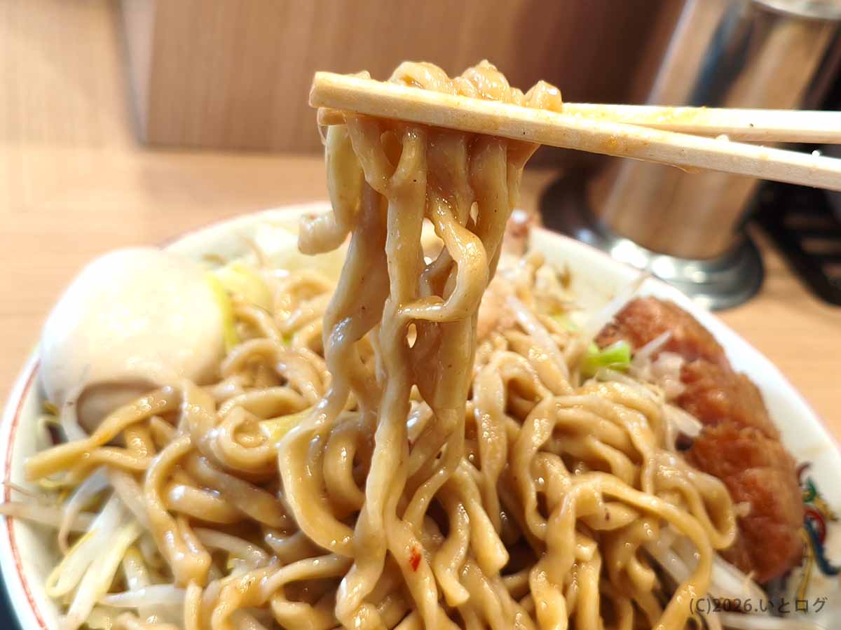 ラーメン豚山 静岡新川店の小ラーメンから引き上げた太麺。アブラとスープをまとった、静岡のインスパイア系らしい力強い一杯。