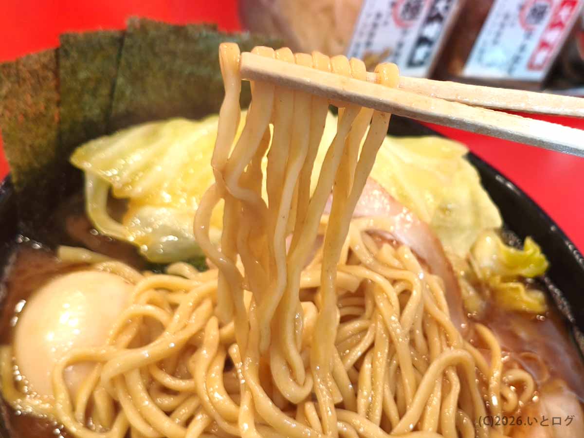 末広町 家系ラーメン「大﨑家」の中太麺。濃厚スープをしっかり持ち上げる短めの麺が特徴的