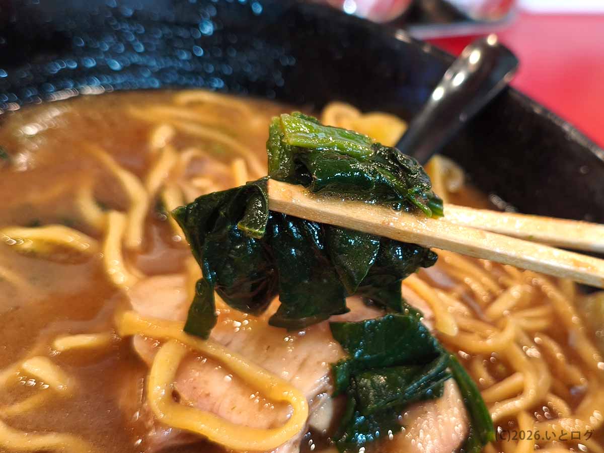 秋葉原 家系ラーメン「大﨑家」のほうれん草トッピング。スープをしっかり吸い込み、濃いめの味わいとよく合う