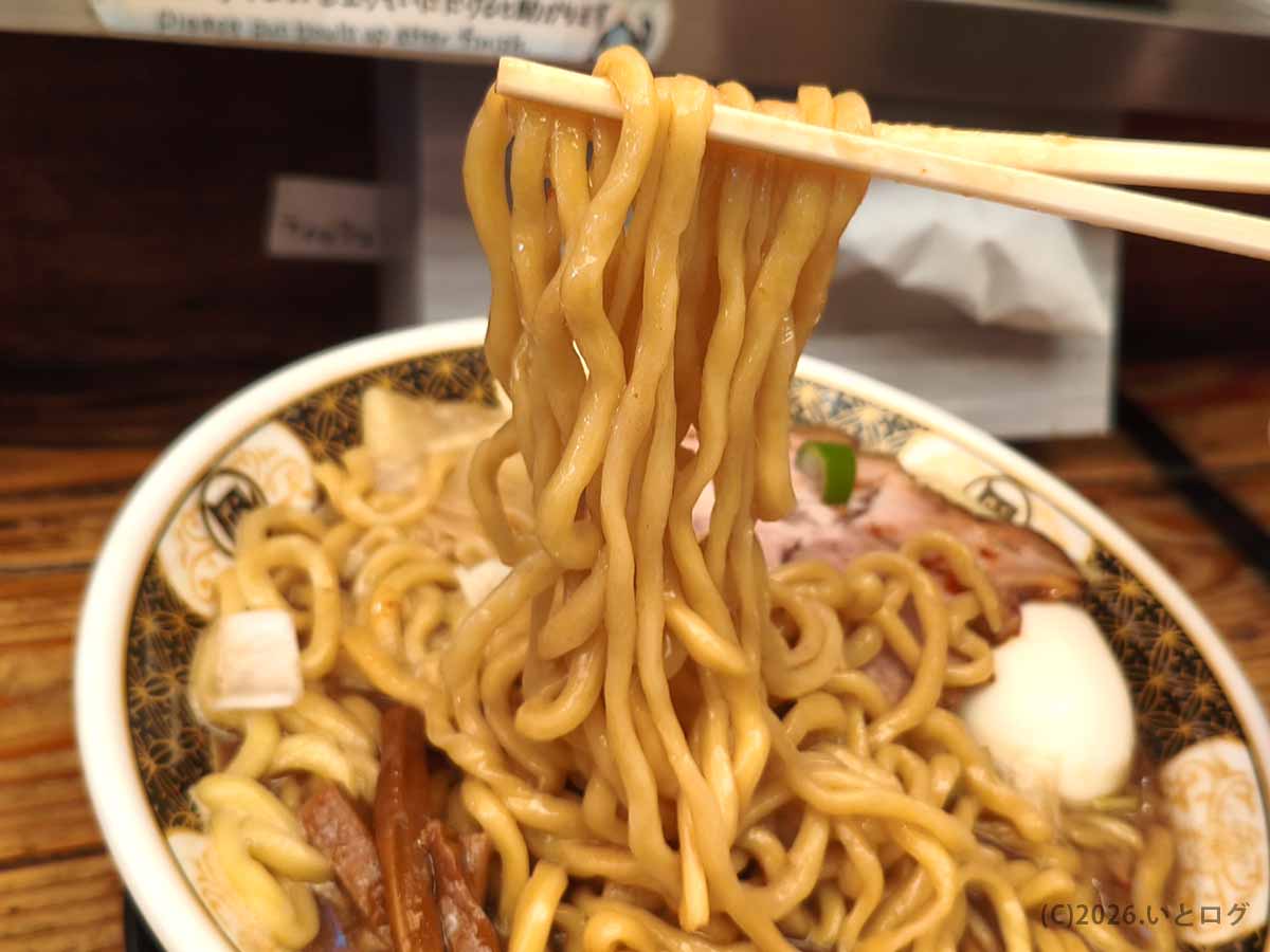 濃厚煮干しスープが絡む極太縮れ麺