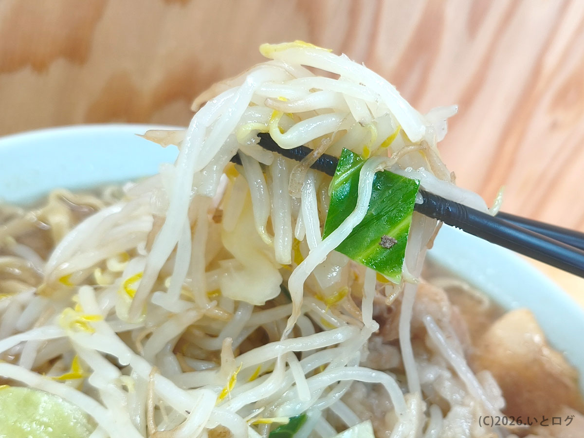 龍麺 ふえ郎 支店の野菜リフト。もやし中心の山盛りトッピング、龍麺 ふえ郎 支店 初心者は量に注意