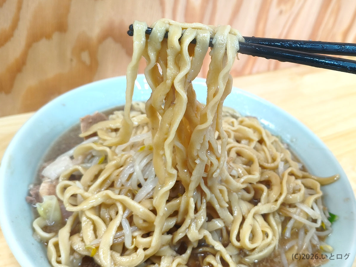 龍麺 ふえ郎 支店の極太縮れ麺。龍麺 ふえ郎 支店 麺量はしっかり多め（笛吹市 ラーメン）