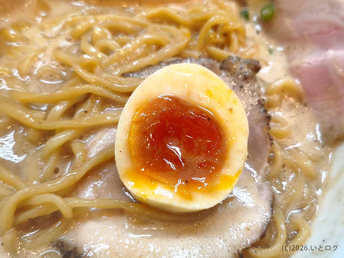 ラーメン家 みつ葉 本店の豚CHIKIしょうゆラーメンにのる半熟味玉