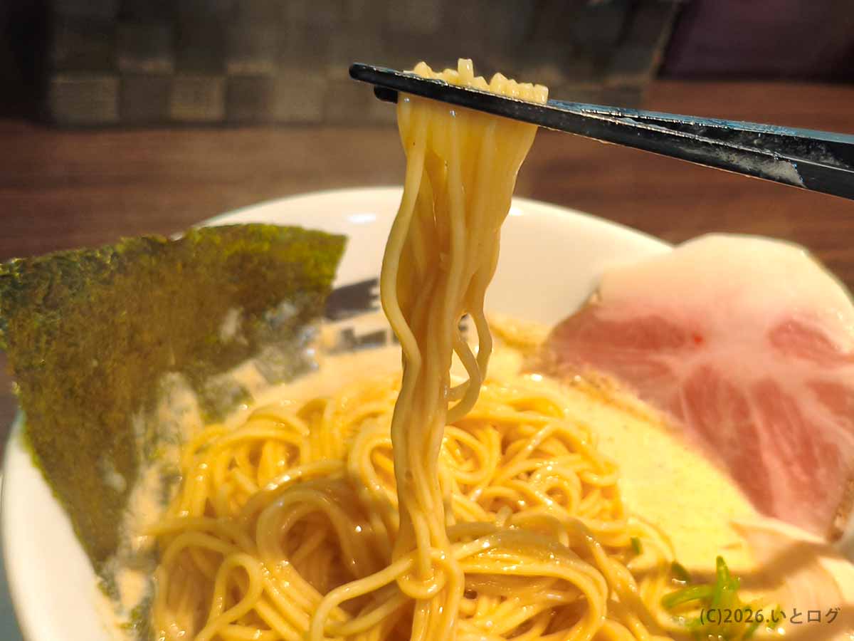 トリカヂイッパイの鶏白湯スープに絡む細めのストレート麺