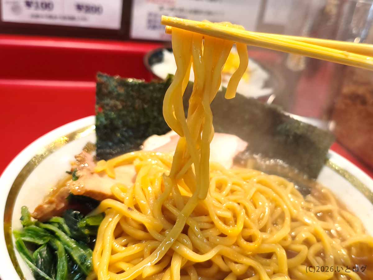 近江道家の家系ラーメンで使用される中太麺。濃厚な豚骨醤油スープをまとった滋賀・彦根の人気ラーメン