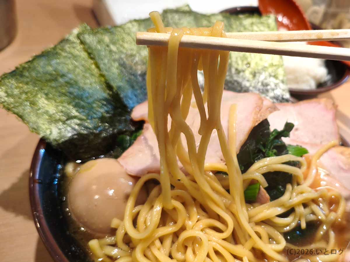 皇綱家 池袋のラーメンから中太麺を箸で持ち上げた写真。海苔やチャーシュー、味玉がのった家系ラーメンの一杯。