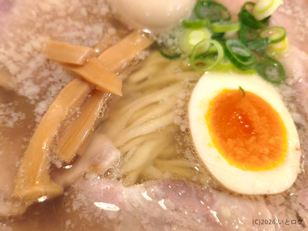讃岐ラーメン はまんどのラーメン。背脂が浮いたスープに、味玉、メンマ、ねぎ、チャーシュー、讃岐平打麺が盛り付けられている。