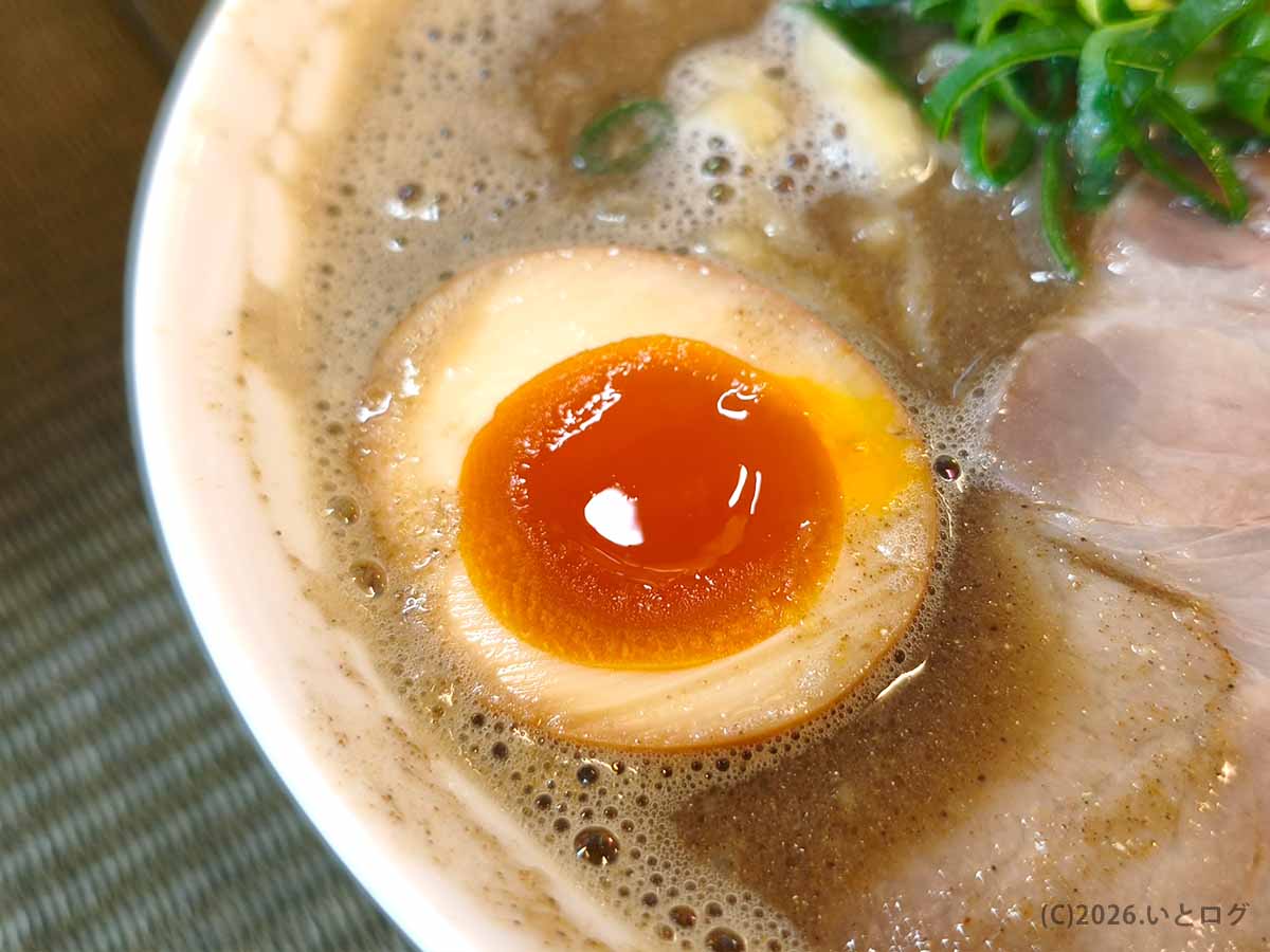 伊吹いりこセンターのラーメンにのる半熟味玉。濃厚ないりこスープの泡と鮮やかな黄身が目を引く