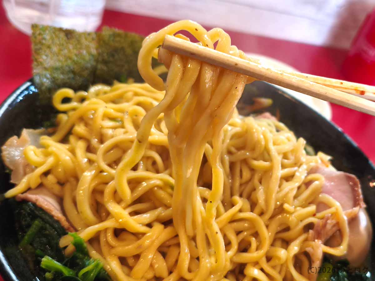 高松家の家系ラーメンに使われる太めの麺。濃厚な豚骨醤油スープをまとった食べ応えのある麺