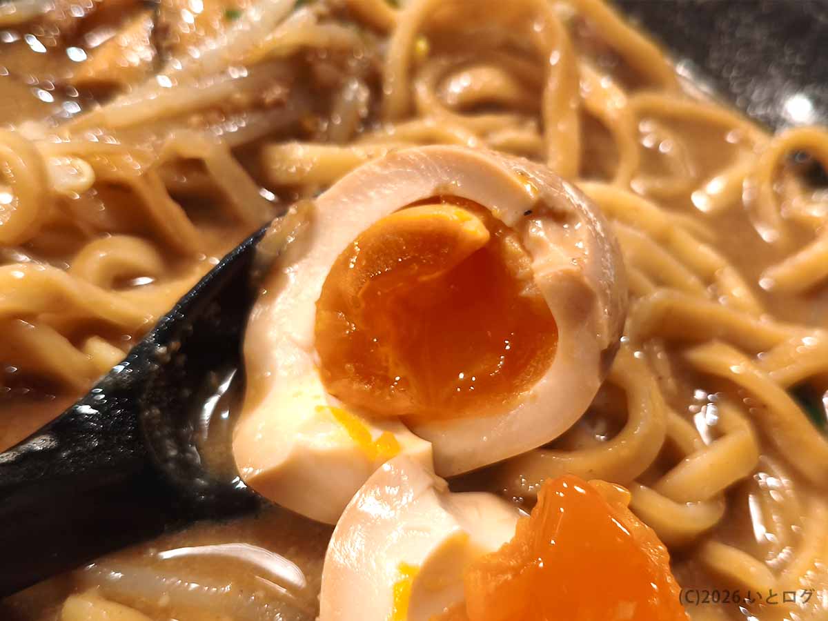 味噌そば JACの味噌そばにトッピングされた黄身が濃厚な半熟味玉