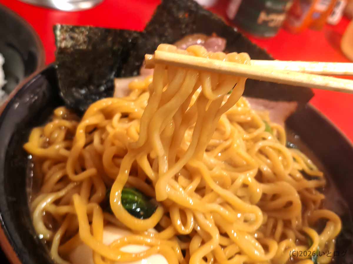とらきち家の濃厚な豚骨醤油スープをまとった、もっちりとした太めの家系ラーメンの麺