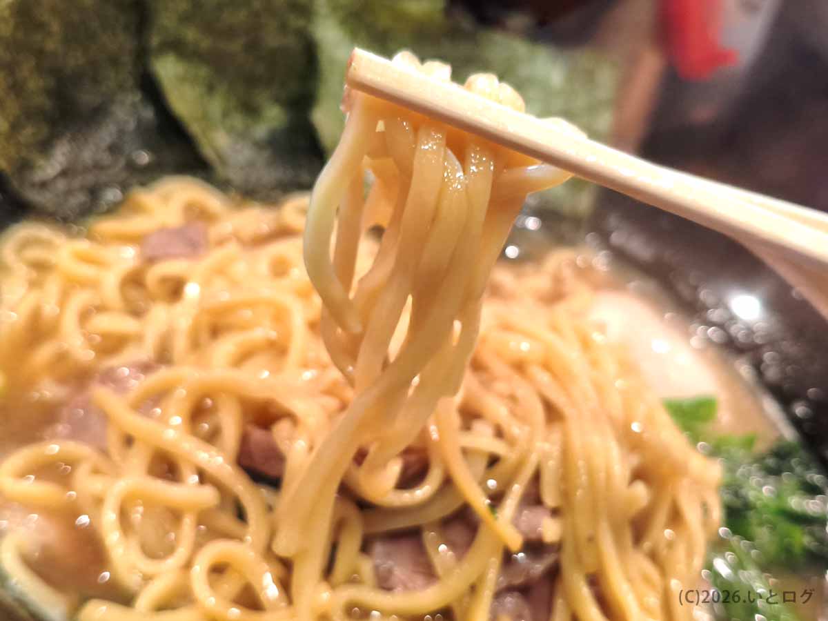 梅家 舎弟の豚骨醤油スープをまとった、もちっとした太さの家系ラーメンの麺