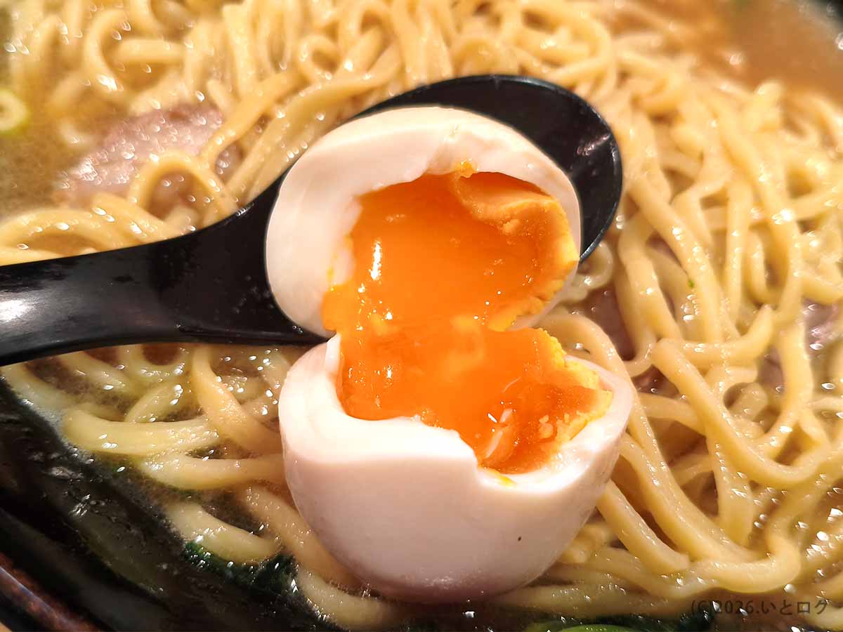 梅家 舎弟のラーメンにトッピングされた、黄身がとろりと流れる半熟の味付け玉子