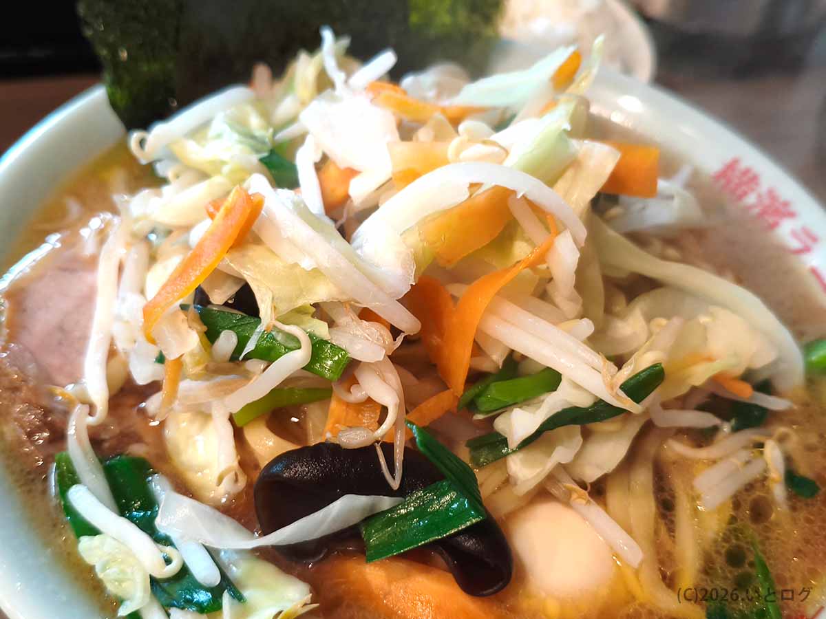 阿佐ヶ谷の横濱ラーメン あさが家 本店で、キャベツ・もやし・ニンジン・ニラ・きくらげ入りの野菜畑を載せた家系ラーメン